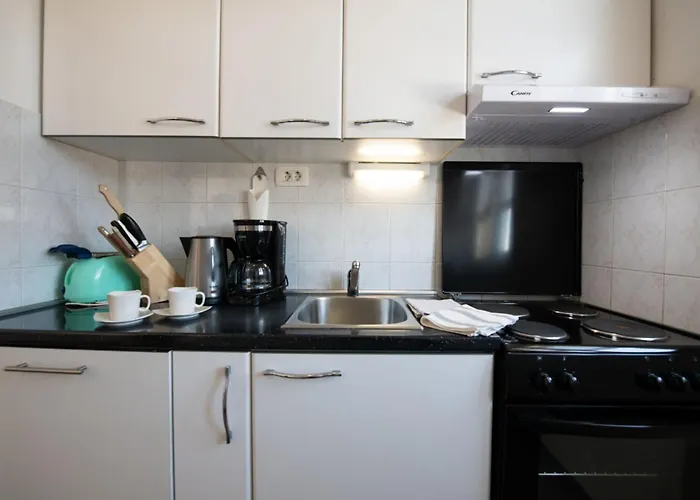 Apartment One Bedroom With Balcony And Sea View A2 *